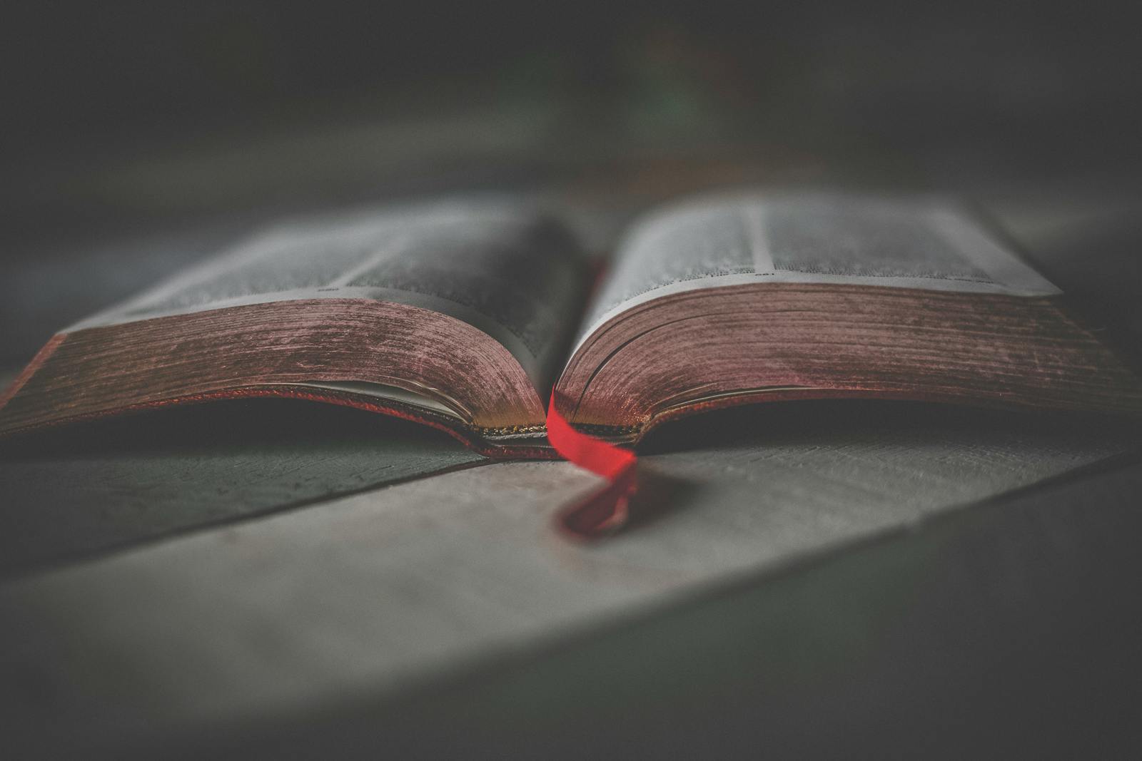 Open Bible with roses